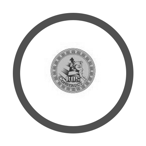B.O.S. - CONSTRUCT SRL